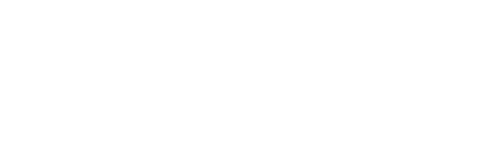 NEN Logo Zelfverklaring ISO 26000 WIT